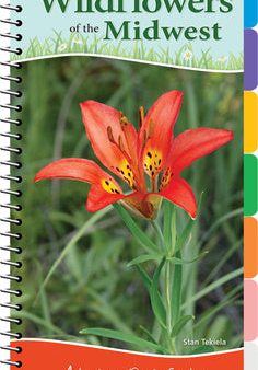 Wildflowers of the Midwest: Your Way to Easily Identify Wildflowers Online Hot Sale