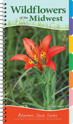 Wildflowers of the Midwest: Your Way to Easily Identify Wildflowers Online Hot Sale