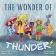 Wonder Of Thunder: Lessons From A Thunderstorm, The Online Hot Sale