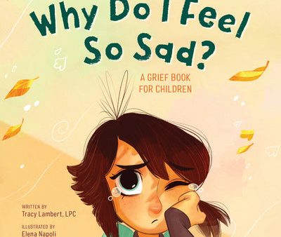 Why Do I Feel So Sad?: A Grief Book for Children Sale