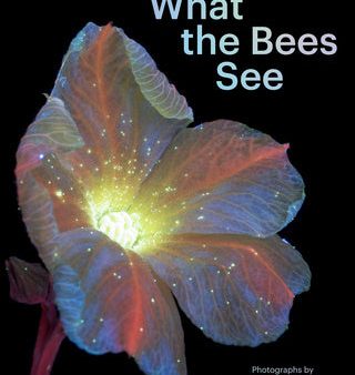 What the Bees See: A Honeybee s Eye View of the World Sale