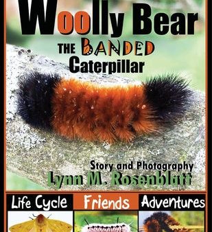 Woolly Bear the Banded Caterpillar: Life Cycle, Friends and Adventures Fashion