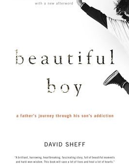 Beautiful Boy: A Father s Journey Through His Son s Addiction Sale