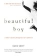 Beautiful Boy: A Father s Journey Through His Son s Addiction Sale