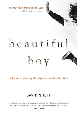 Beautiful Boy: A Father s Journey Through His Son s Addiction Sale