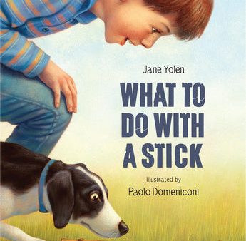 What to Do with a Stick For Sale