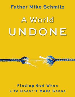 World Undone: Finding God When Life Doesn t Make Sense, A For Sale