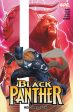 Black Panther by Eve L. Ewing: Reign at Dusk Vol. 2 Fashion