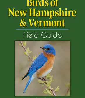 Birds of New Hampshire & Vermont Field Guide Online now