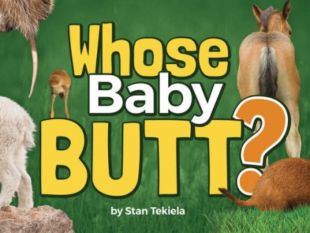 Whose Baby Butt? Online Hot Sale