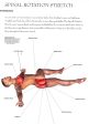 Anatomy, Stretching And Training For Marathoners Fashion